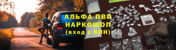 кокс Баксан
