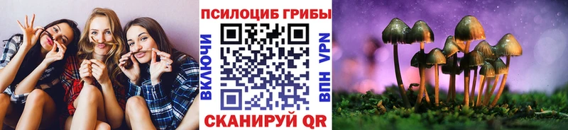 Псилоцибиновые грибы Cubensis  дарнет шоп  Усть-Илимск 
