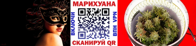 купить наркотик  Усть-Илимск  Шишки марихуана план 